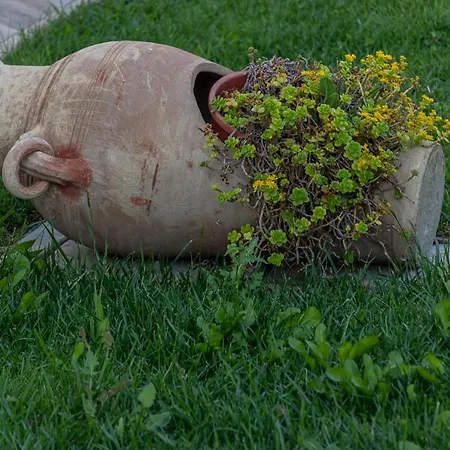 דירה La Dimora Del Bue *