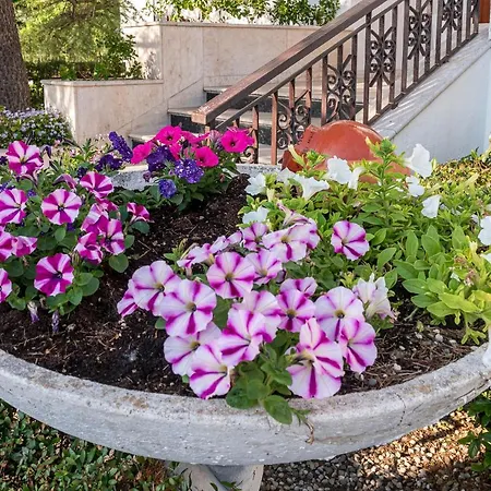 La Dimora Del Bue Appartamento *