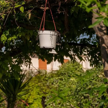 La Dimora Del Bue * מטרה