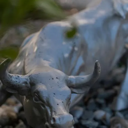 Appartamento La Dimora Del Bue