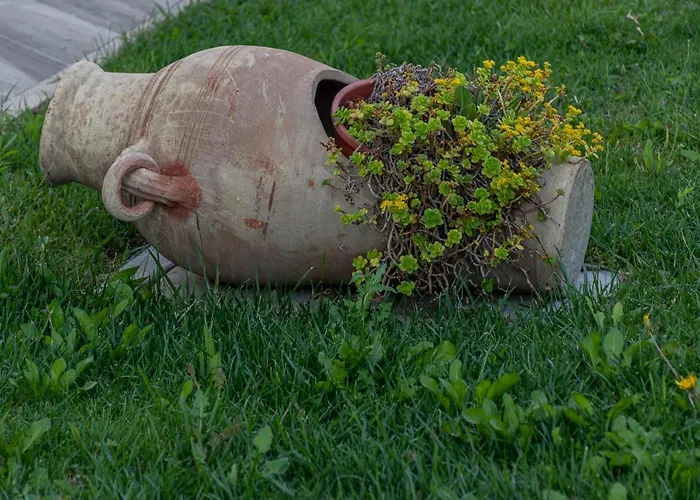 Apartment La Dimora Del Bue *