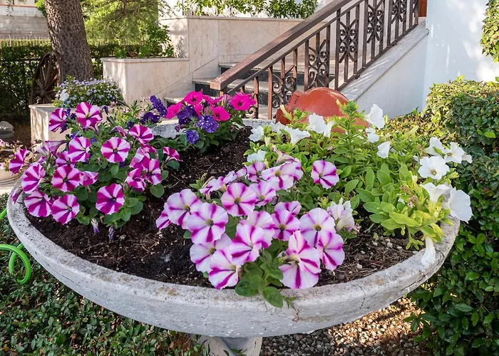 La Dimora Del Bue Apartment *